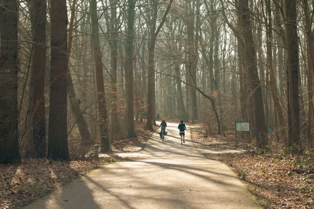 Gezin fietst over een bospad in Drenthe