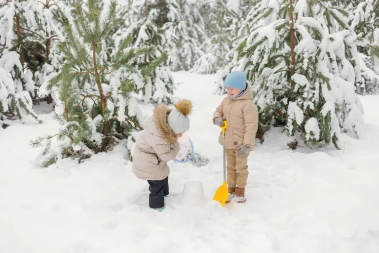 Kinderen spelen samen in het bos op een zonnige dag
