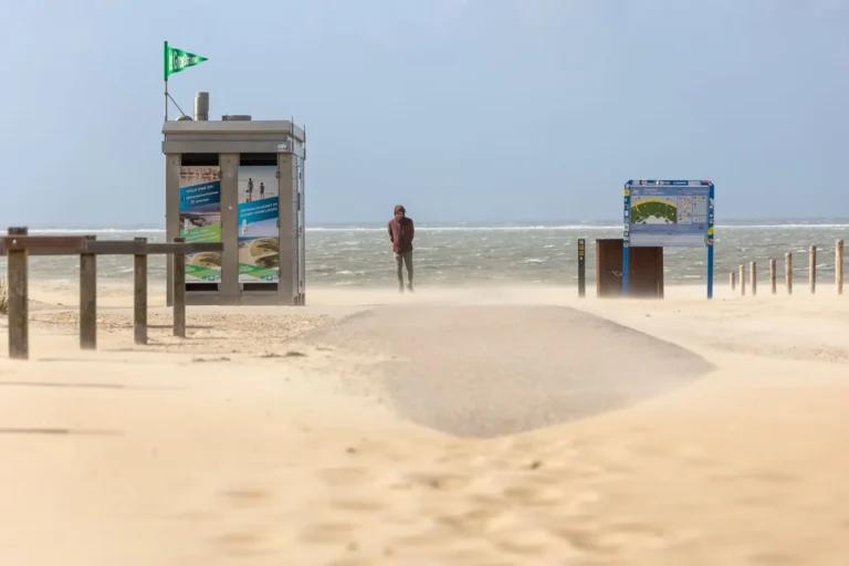 Gezin wandelt door de duinen op een zonnige dag