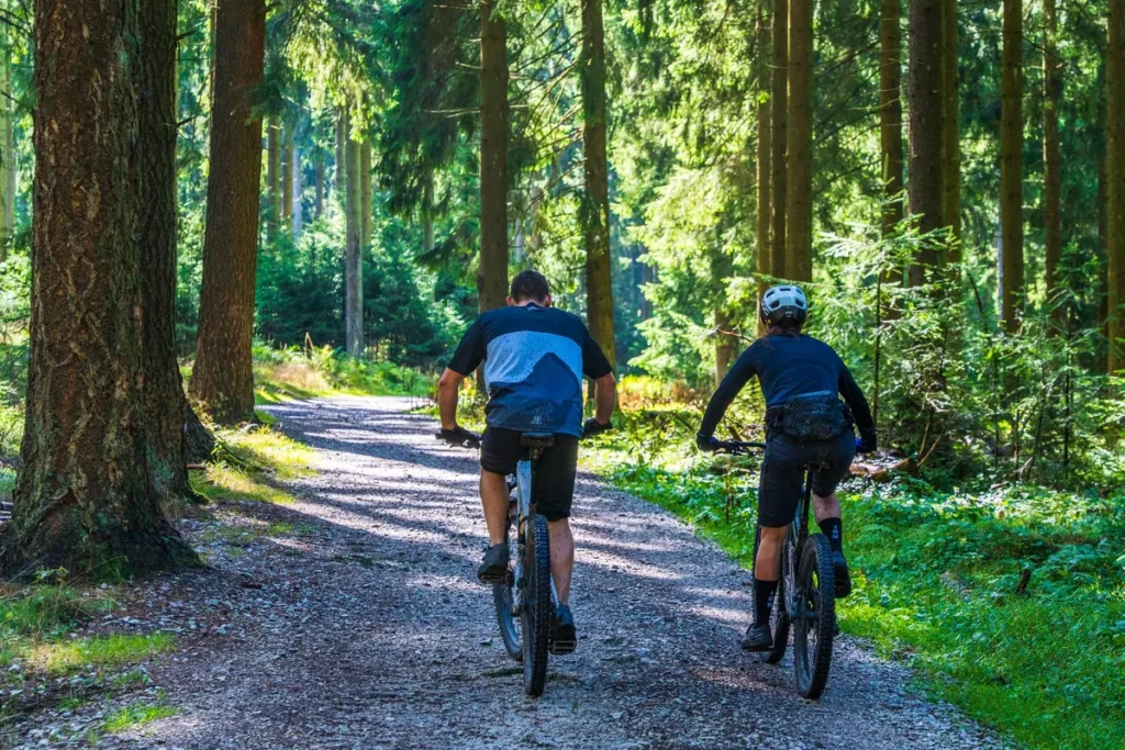 Mountainbiker op een bospad met boomwortels
