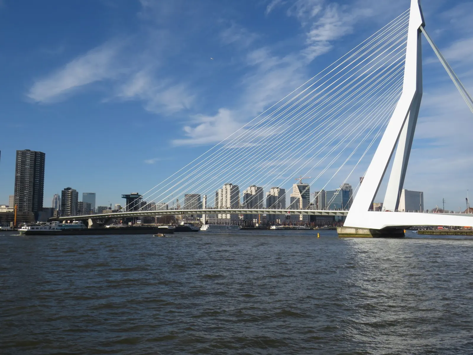 De Erasmusbrug en de skyline van Rotterdam bij zonsondergang