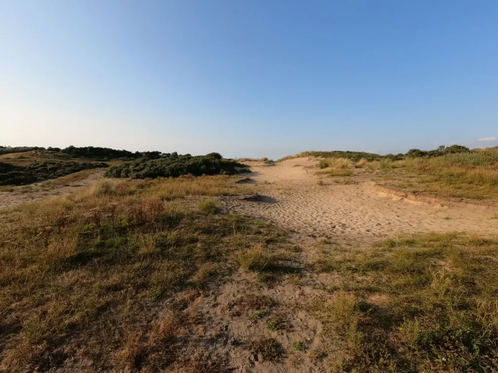 Wandelaars in een zandverstuiving met bos in Noord-Brabant